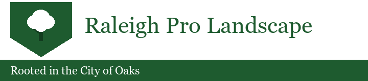 Raleigh Pro Landscape
